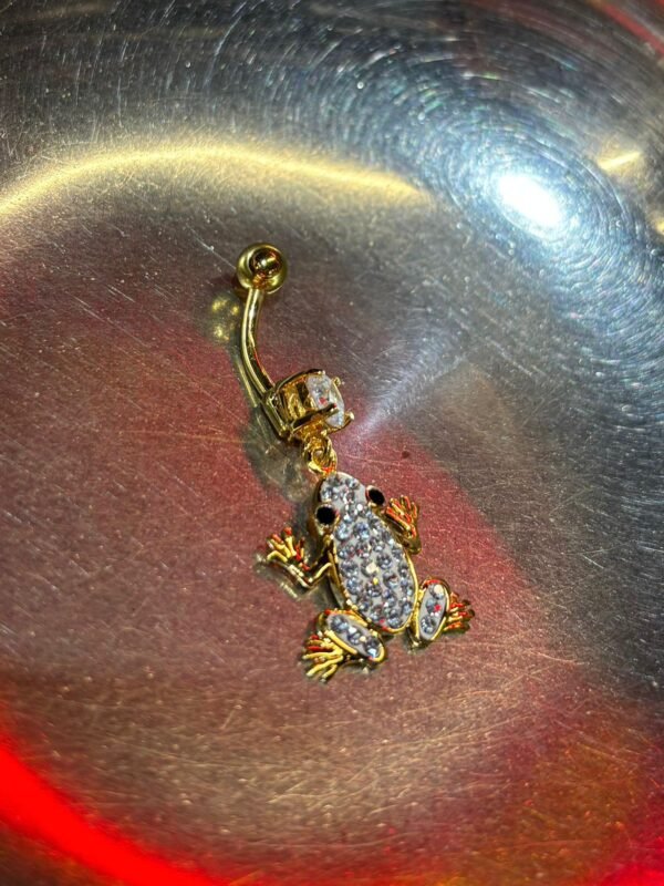 Sapo Dourado  🐸 - Image 2