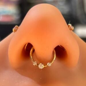 Segment Ring 14K ⚜️